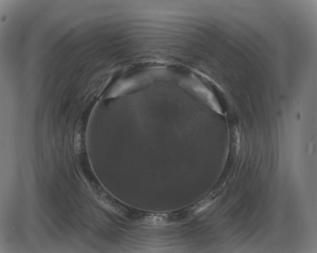 X0000085320080200703161516