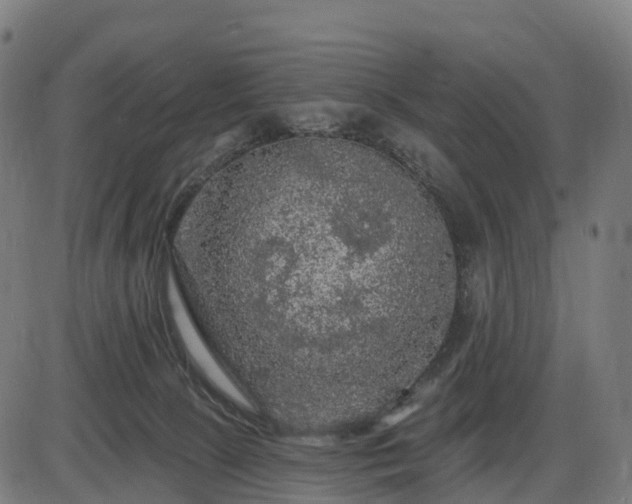 X0000085320081200703161516