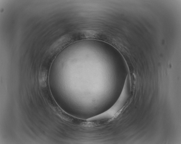 X0000085320082200703161516