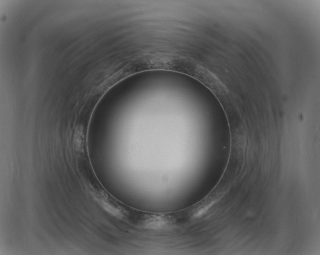 X0000085320083200703161516