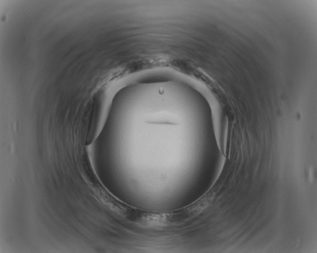 X0000085320084200703161516