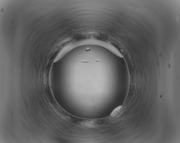 X0000085320086200703161516