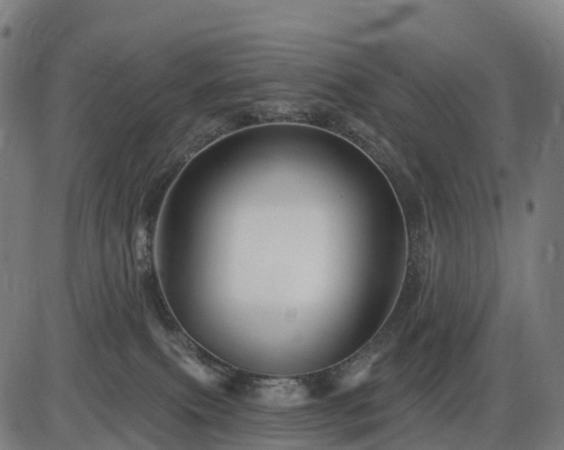 X0000085320087200703161516