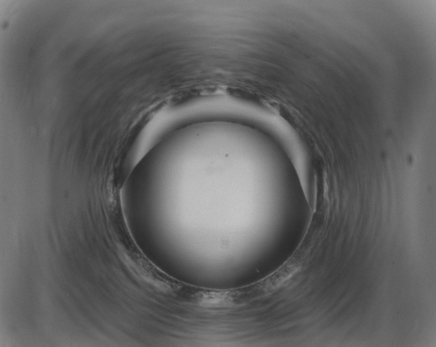 X0000085320088200703161516
