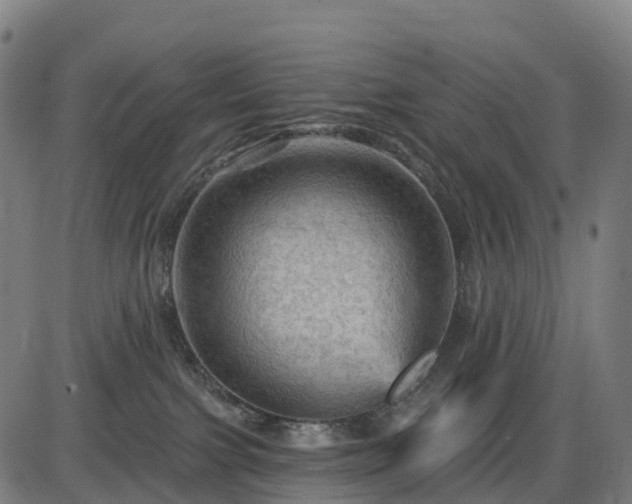 X0000085320091200703161517