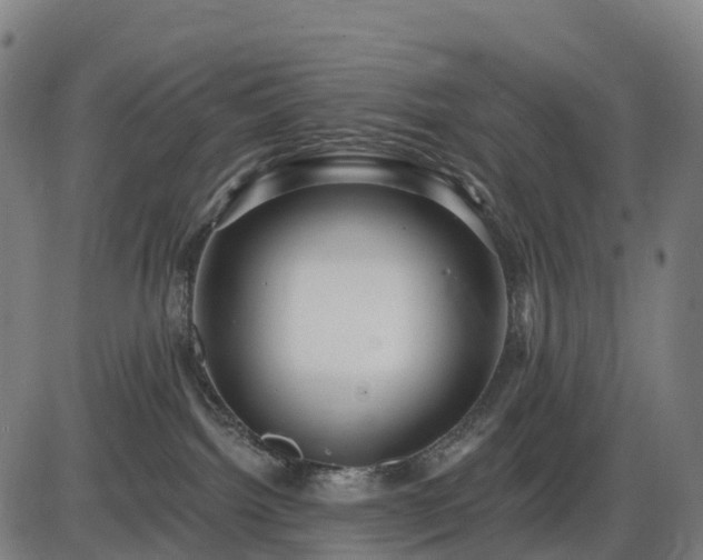X0000085320092200703161517