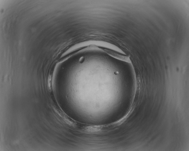 X0000085320094200703161517