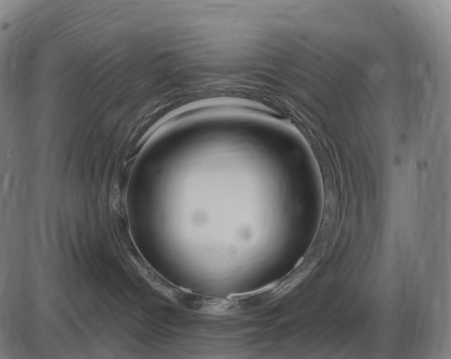 X0000085320096200703161517