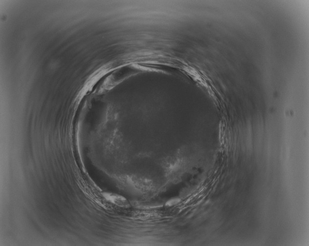 X0000085320099200703161516