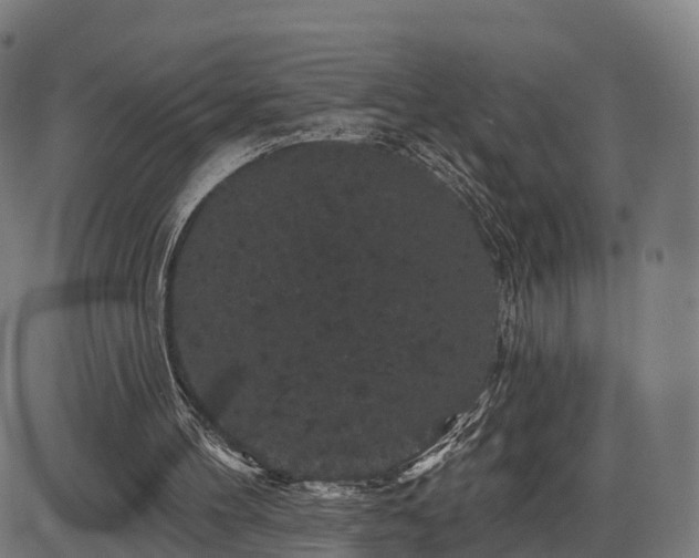 X0000085320100200703161516