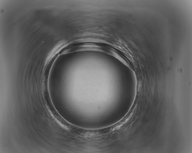 X0000085320101200703161516