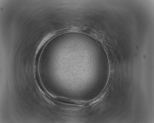 X0000085320102200703161516
