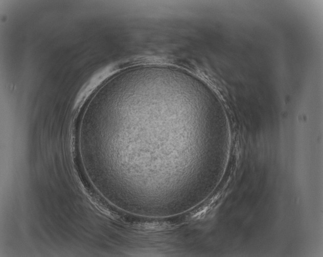 X0000085320103200703161516
