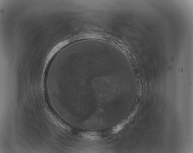 X0000085320104200703161516