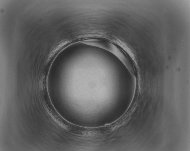 X0000085320105200703161516