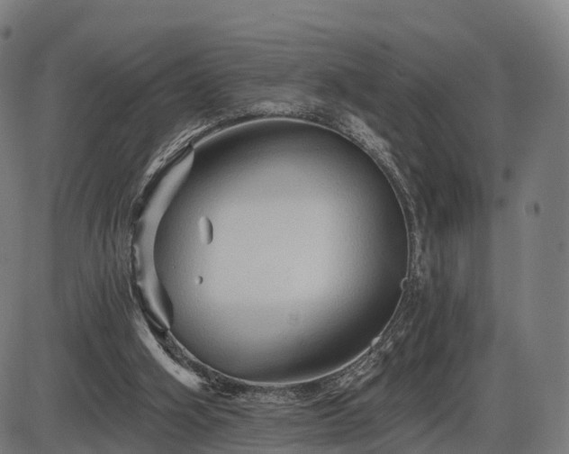 X0000085320106200703161516