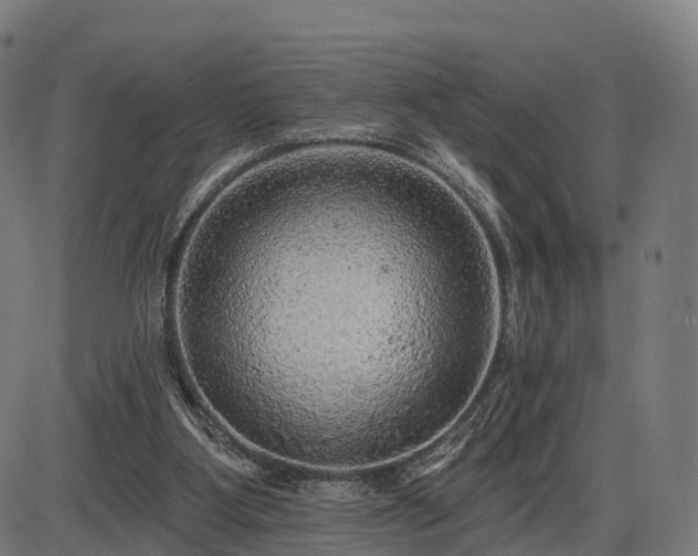 X0000085320107200703161516