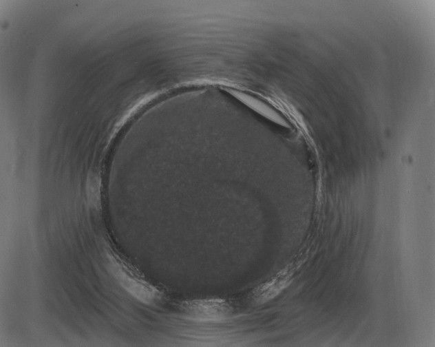 X0000085320108200703161516