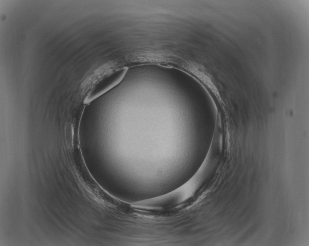 X0000085320109200703161516