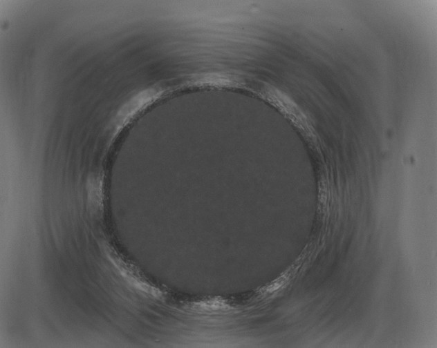 X0000085320112200703161516