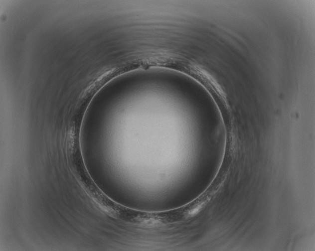 X0000085320113200703161516