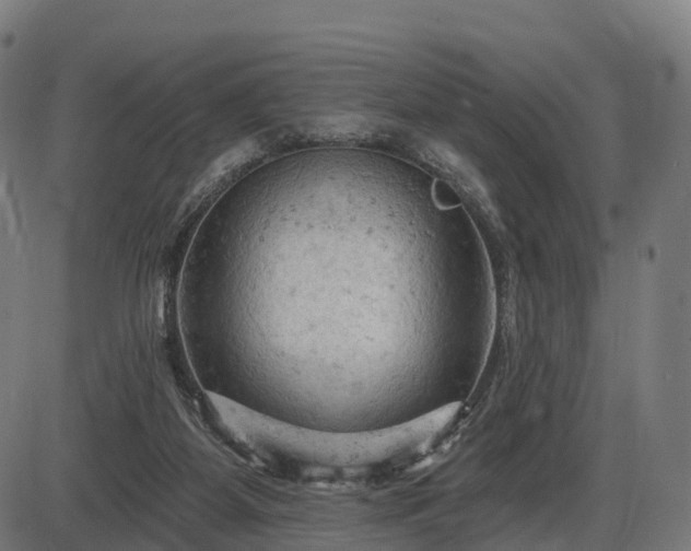 X0000085320115200703161515