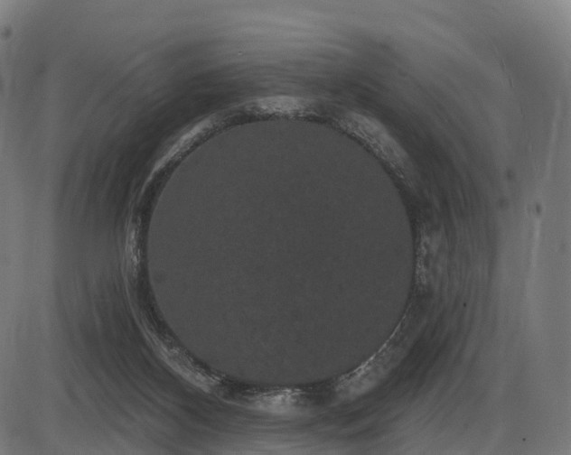 X0000085320116200703161515