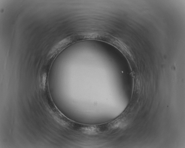 X0000085320118200703161515