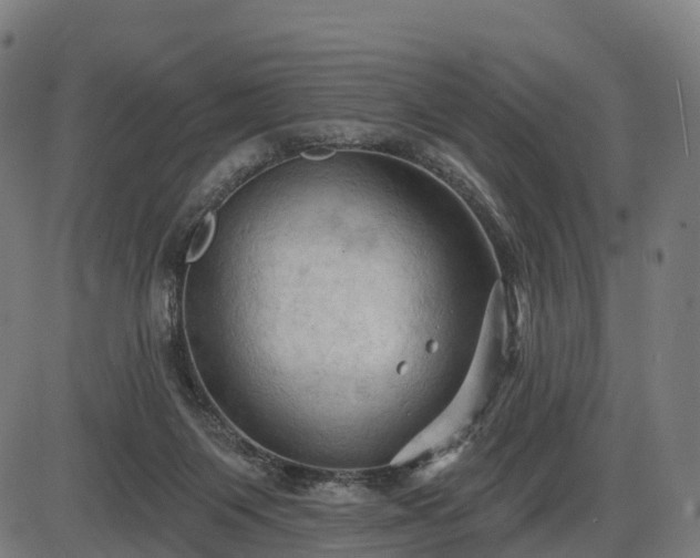 X0000085320119200703161515