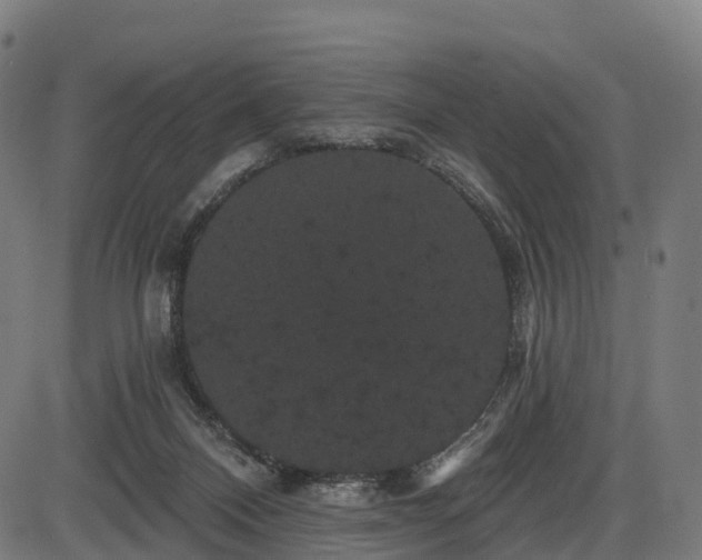 X0000085320120200703161515