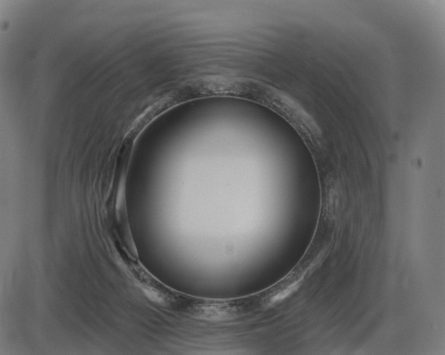 X0000085320121200703161515