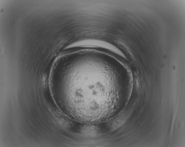X0000085320123200703161515