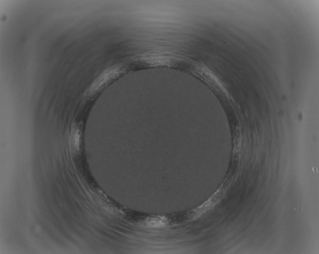 X0000085320124200703161515