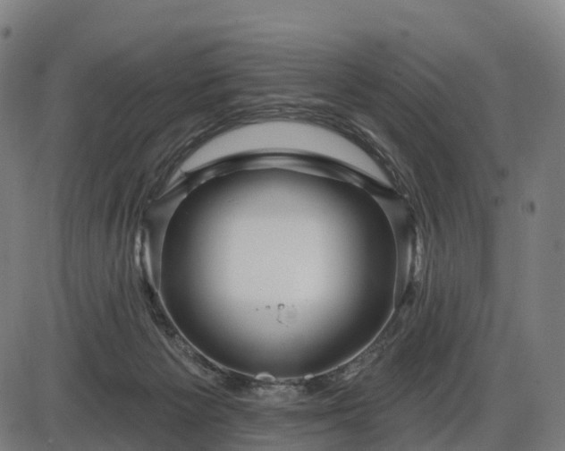 X0000085320125200703161515