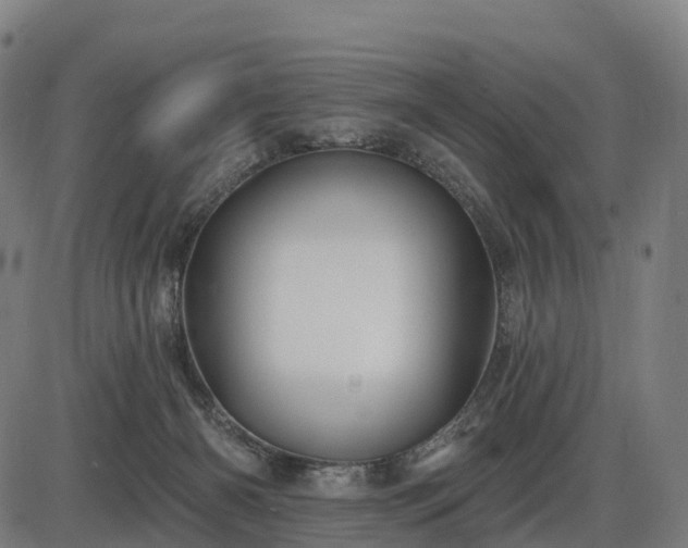 X0000085320126200703161515