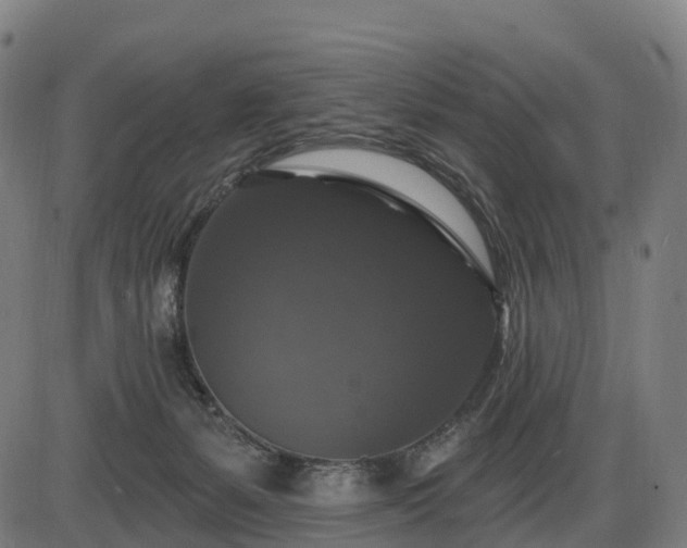 X0000085320127200703161515