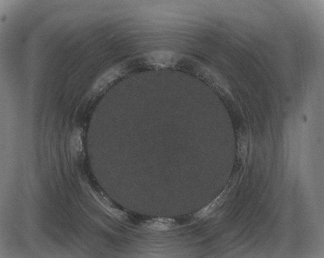 X0000085320128200703161515