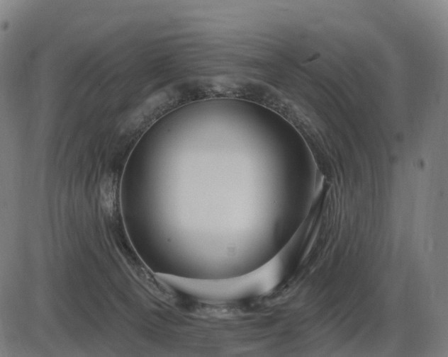 X0000085320129200703161515