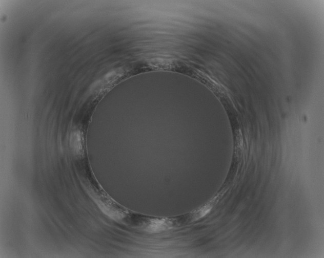 X0000085320130200703161515