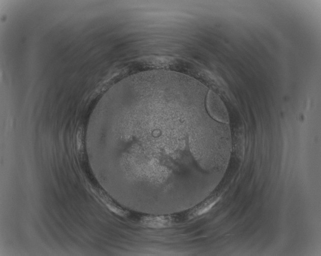 X0000085320131200703161515