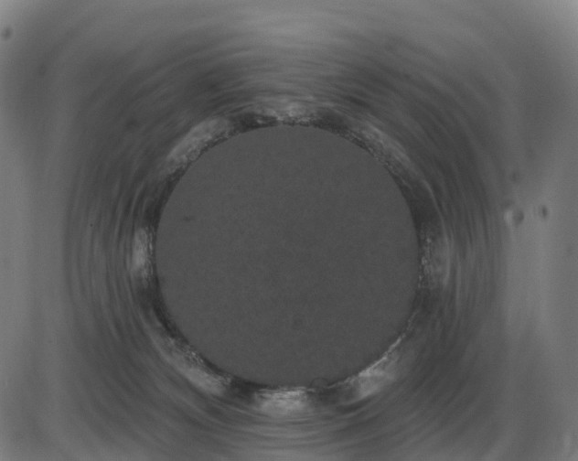 X0000085320132200703161515