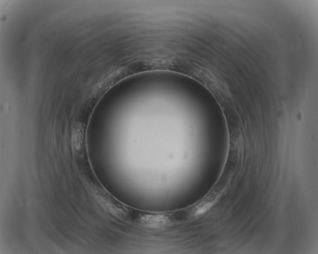 X0000085320133200703161515