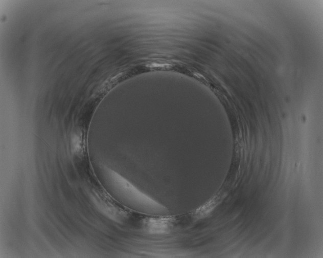 X0000085320134200703161515