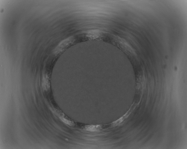 X0000085320136200703161515