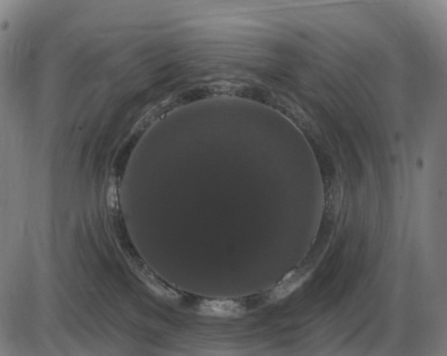 X0000085320137200703161515