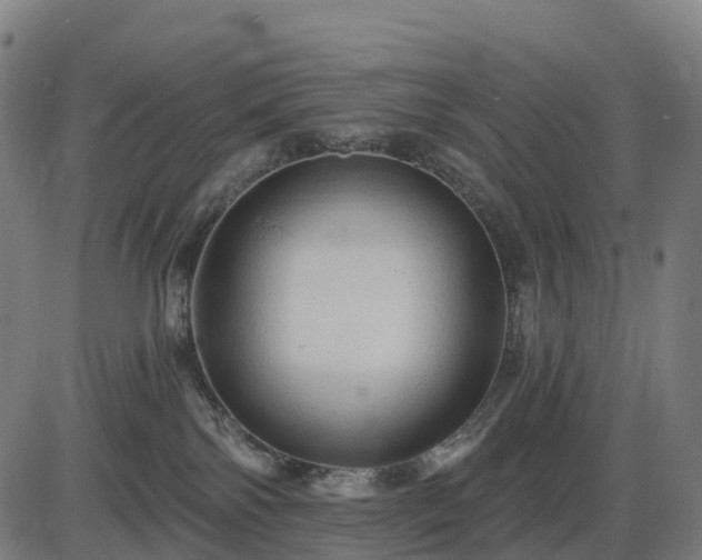 X0000085320138200703161515