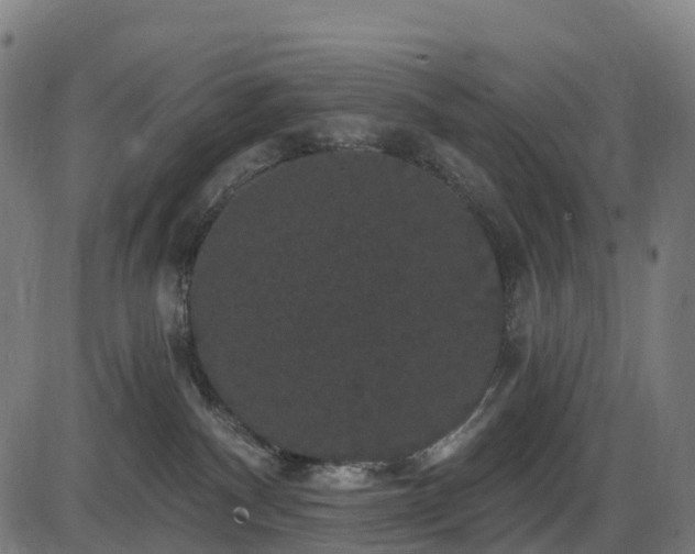 X0000085320140200703161515