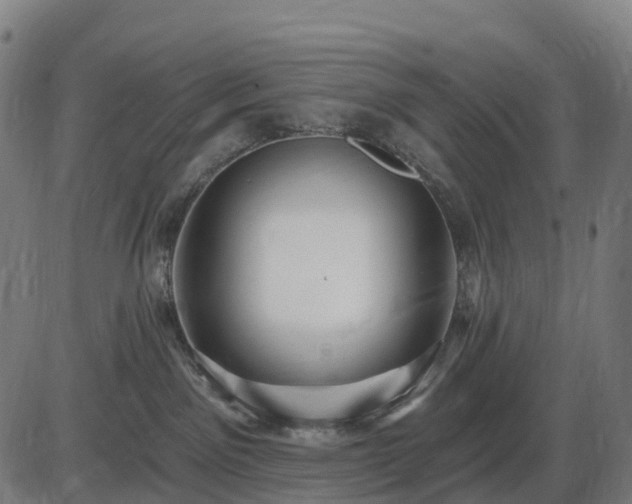 X0000085320141200703161515