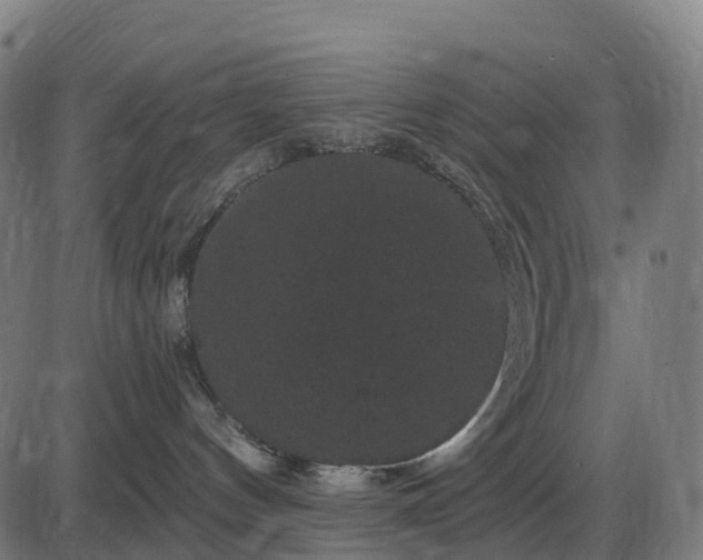 X0000085320144200703161515