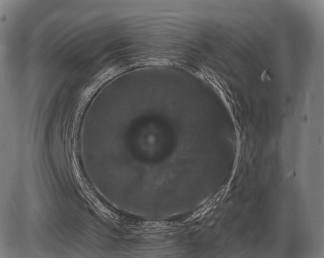 X0000085320145200703161514